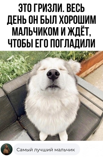 Post photo
