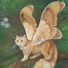 Мария Семенихина