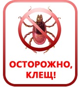 Мещеряков Денис