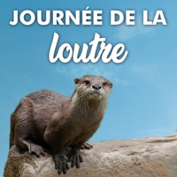 De-Ko-Chang La-Loutre